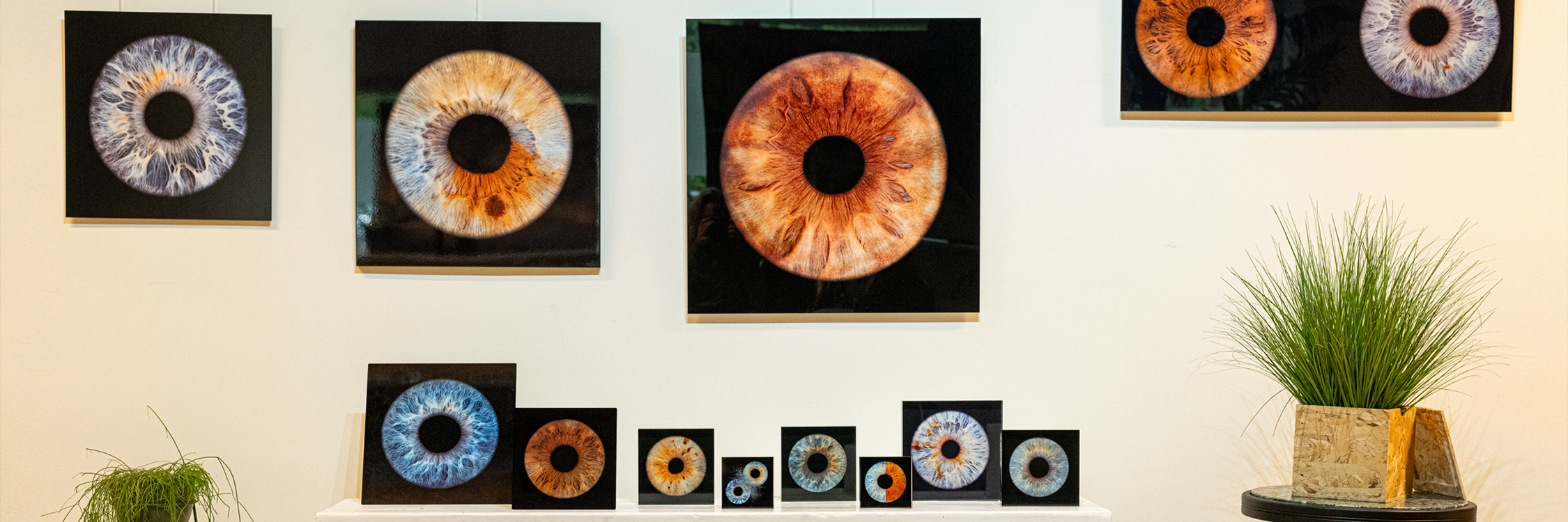 Iris fotografie: een vak apart