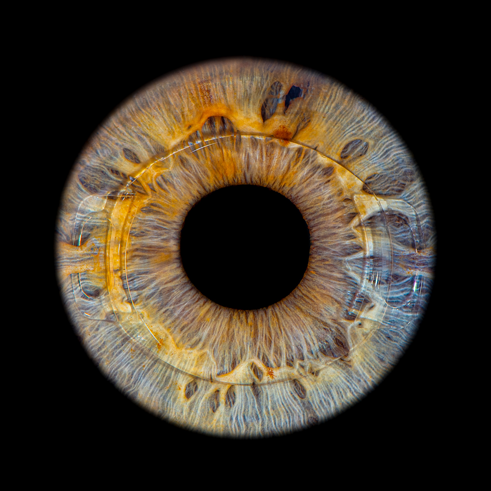 Iris art een uniek (wand)kunstwerk met de foto van je oog